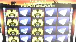 50 Lions Pokies Big Win [upl. by Auhoj]