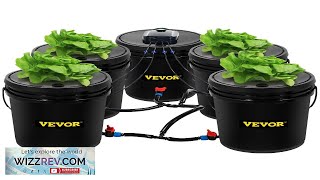 VEVOR Hydroponics Deep Water Culture DWC Hydroponic System 5 Gallon 5 Buckets Review [upl. by Dumm]