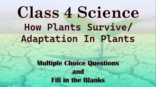 Class 4 Science  How Plants Survive  MCQs on How Plants Survive Adaptations in Plants CBSE ICSE [upl. by Dyraj]