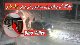 Snow Fall in Margala Hills Islamabad  Dino Valley  Rawalpindi  Snow Fall in Murree Latest Update [upl. by Yelhsa]