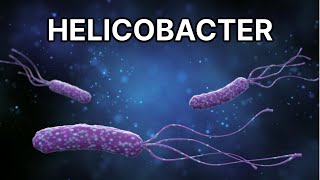 Helicobacter pylori  diagnóstico tratamiento síntomas y complicaciones [upl. by Ynolem]