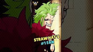 WHO IS BARTOLOMEO bartolomeo onepiece shorts beewiser [upl. by Yetah]