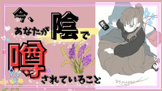 🎀異性からの印象。噂されていること。周囲の人からどう思われている？】上司からの印象や評価 ・あなたが気づいてない隠された魅力 ・私の存在タロット占いタロット占い相手の気持ちタロット魅力 [upl. by Tnek]