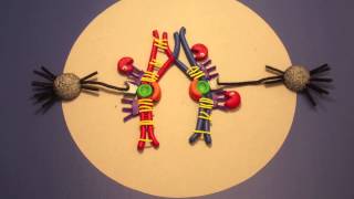 Meiosis in Clay [upl. by Salter]