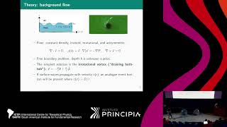 Maurício Richartz Superradiance and ergoregion instabilities in vortices [upl. by Harrell]