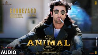 ANIMALEvarevaro Audio  Ranbir K RashmikaAnil K Bobby D  Sandeep V  Vishal Mishra  Bhushan K [upl. by Niwroc499]