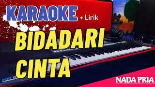 BIDADARI CINTA  KARAOKE  DANGDUT KOPLO  Nada Pria [upl. by Eyatnod418]