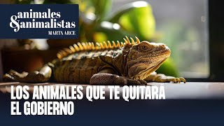 El listado de las mascotas que te quitará el Gobierno con la ley animalista [upl. by Susej]