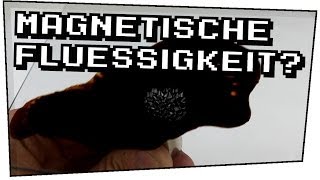 Magnetische Flüssigkeit Ferrofluid  Heimexperimente 08 [upl. by Jilly]