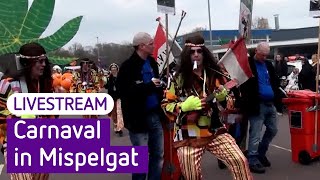 Carnavalsoptocht in Zaltbommel Mispelgat 2024  Omroep Gelderland [upl. by Ahsetan]