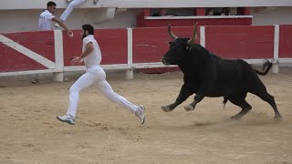 SAINTESMARIES DE LA MERFinale des Taus26102022Course Camarguaise [upl. by Gnilrad]