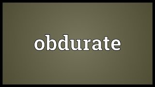 Obdurate Meaning [upl. by Auhsohey]