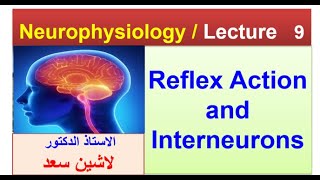 Reflex action and interneuronslASHIN دلاشين [upl. by Notreb977]