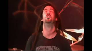 Shadows Fall  Live From Bonnaroo 2009 HD Music And Arts Festival [upl. by Nayab]