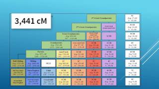 Understanding Your Relationship to DNA Matches After Autosomal Testing [upl. by Hartmunn]