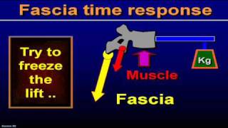 Serge Gracovetsky  Fascia Congress Part  3 of 3  Boston 2007wmv [upl. by Hosbein]