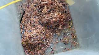 using modified garden shredder to granulate thin copper wire [upl. by Schach878]