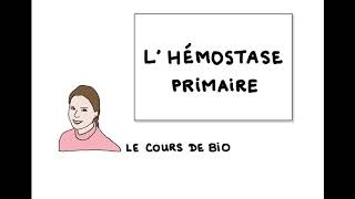 Hémostase primaire [upl. by Oirottiv721]