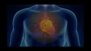 Heart Harmonics™ The Science amp Art of Mindfulness amp Mastery [upl. by Adneral]