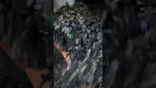 Reciclaje en acción ¡Mira cómo se transforma el plástico [upl. by Ellekim482]