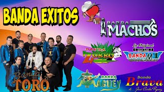 Bandas Viejitas Pero Bonitas Mix Movidas  Pequeños Musical Banda Cuisillos Banda Pelillosy Max [upl. by Monica887]