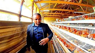 Kenyan Medical Doctor Running a Multimillion Chicken Farming Project kimkayssmartfarm FarmUp [upl. by Benedetta]