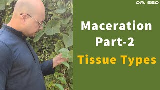 Maceration Part2 Tissue Types  Dr Sourav Singh Deo [upl. by Aniat]