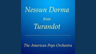 Nessun Dorma from Turandot Instrumental Live [upl. by Ydniahs710]