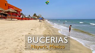 What to do in Bucerias Beach amp Market Riviera Nayarit Mexico [upl. by Goodrow]