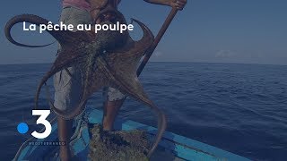 Tunisie  la pêche au poulpe une tradition ancestrale [upl. by Kwapong624]