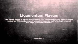 Medical vocabulary What does Ligamentum Flavum mean [upl. by Ayomat]