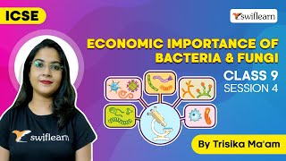 Economic Importance Of Bacteria amp Fungi  Importance of Fungi  Class 9 Biology  S4Swiflearn [upl. by Laux]