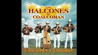 Los Halcones de Coalcoman  Corrido de Marcelino Verduzco [upl. by Andromeda]