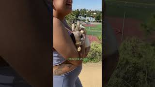 Couple Finds An Abandoned Bunny On Their Walk  The Dodo [upl. by Lohrman]