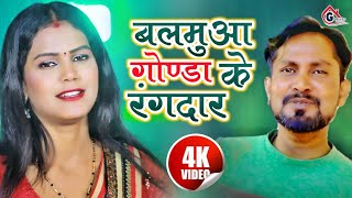 Video  बलमुआ गोण्डा के रंगदार  Mahesh Nirmohi  Balmuaa Gonda Ke Rangdaar Gonda Jila Song 2024 [upl. by Cirdet]