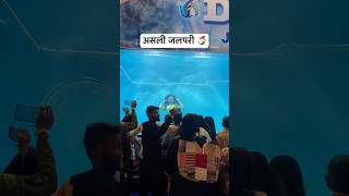 Real Jalpari  असली जलपरी🧜‍♀️  Jalpari video raigarh [upl. by Aehtna]