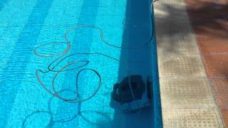 Kripsol Robotic Pool Cleaner at Embassy in Delhi  22 [upl. by Gytle]