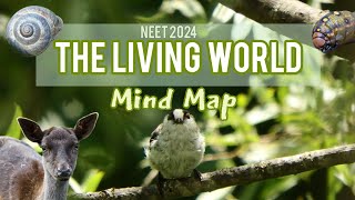 The Living World  Mind Map  NEET 2024  Class 11 Biology neet2024neetaspirantbotanytheliving [upl. by Eilyk]