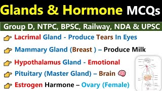 Glands amp Hormone MCQs  Endocrine amp Exocrine Glands  ग्रंथियां  Glands amp Hormone Biology MCQs Gk [upl. by Pfaff]