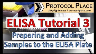 ELISA Tutorial 3 Preparing and Adding Samples to the ELISA Plate [upl. by Chambers]