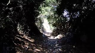 Hiking in Amorgos Island on our way to the Byzantine Monastery of Agios Ioannis Theologos [upl. by Fredric]