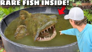 I Found Rare Fish Living Inside of My Pond [upl. by Cj]