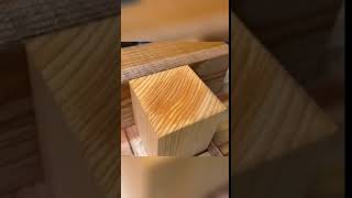 Chiseling Wood woodworking asmrvideo shorts [upl. by Olenolin]