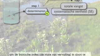 systematische eenheid en biotische index [upl. by Kayne]