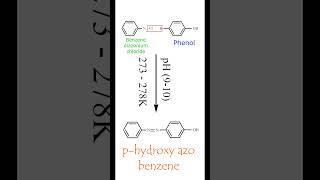 Coupling Reaction  Benzene diazonium chloride with Phenol  p hydroxy azon benzene  Class 12 [upl. by Naloj145]