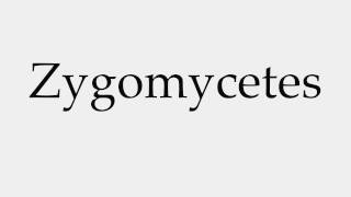 How to Pronounce Zygomycetes [upl. by Flan]