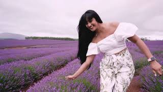 Bridestowe Lavender Estate  Tasmania [upl. by Matelda]