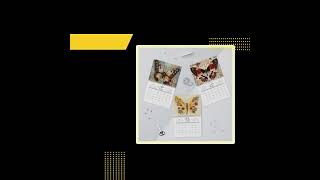 Charming 2025 Wall Calendar with Butterfly Designs Perfect Paper Stationery for Holidays [upl. by Itsud]