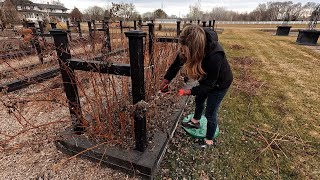 How I Prune Our Raspberries amp Blackberries 🌿🤤❤️  Garden Answer [upl. by Proud]