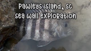 Pawleys Island SC Sea Wall ExplorationFishing [upl. by Qooraf]